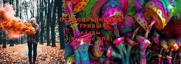 гашик Покачи