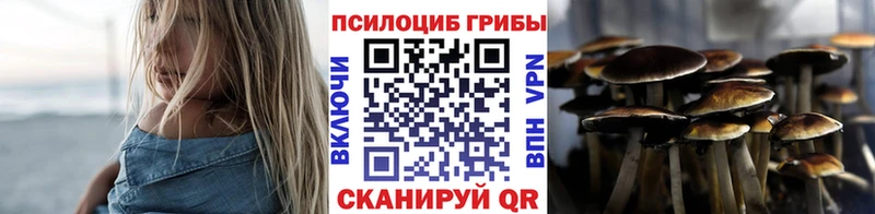 Псилоцибиновые грибы Cubensis  Лакинск 